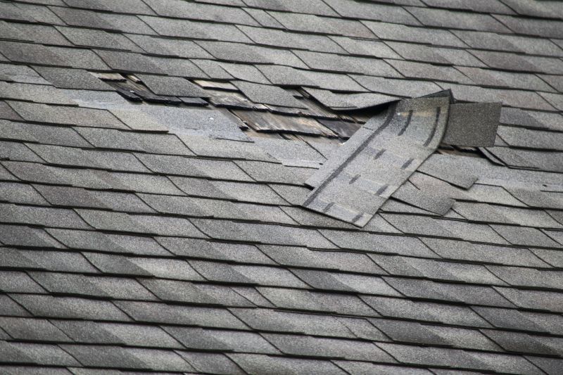 Asphalt Shingles Repair Service