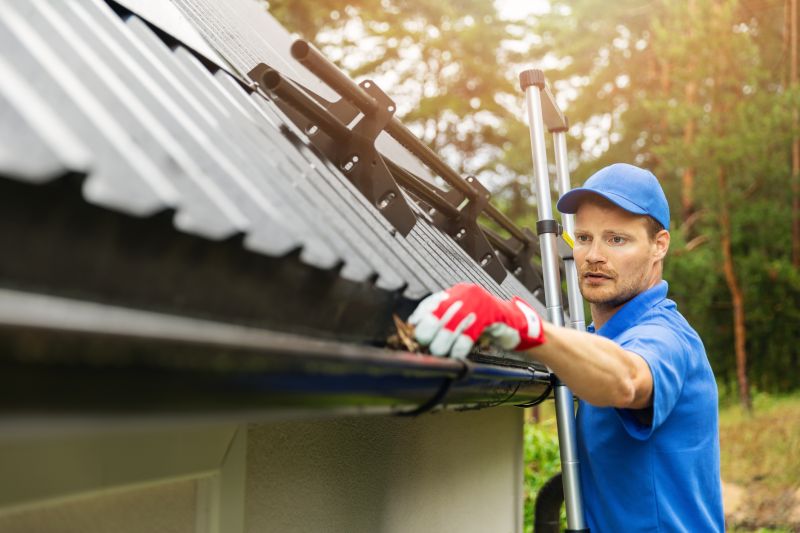 Gutter Cleaning and Repair