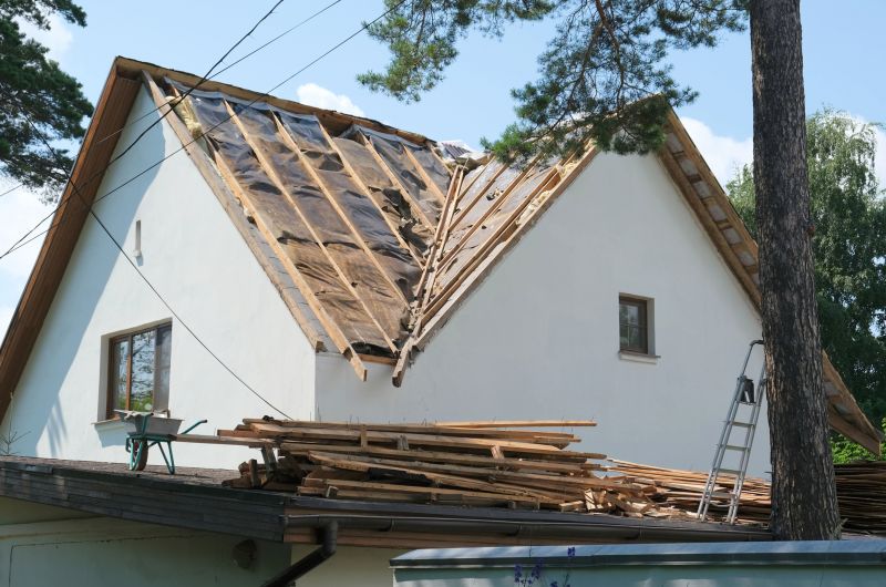 Signs Your Home Needs Professional Roof Removal